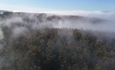 Parcela en venta en VALDIVIA