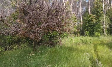 Parcela en venta en VALDIVIA