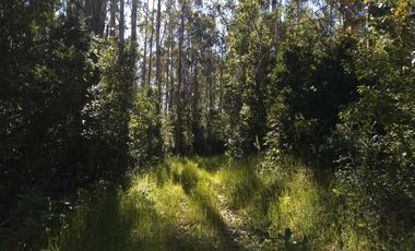 Parcela en venta en VALDIVIA