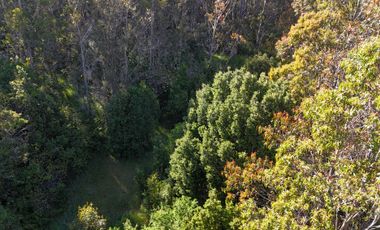 Parcela en venta en VALDIVIA