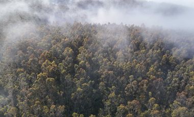Parcela en venta en VALDIVIA