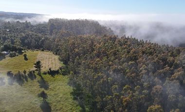 Parcela en venta en VALDIVIA