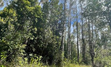 Parcela en venta en VALDIVIA