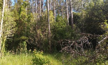 Parcela en venta en VALDIVIA