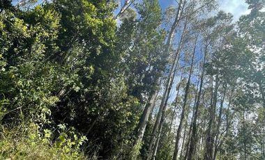 Parcela en venta en VALDIVIA