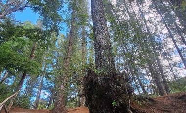 Parcela en venta en VILLARRICA