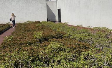 ¡¡Baja de precio!!! Buena oficina nueva en renta en Santa Fe