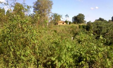 Campo 420 has en San Gotardo, Capiovy