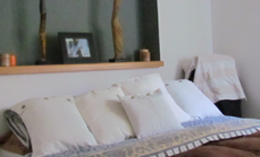 Gral Savio III 3 amb