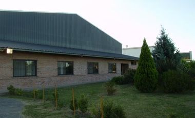 Galpon 1500 mts