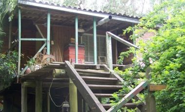 TIGRE: DELTA 1º SECCIÓN ARROYO ESPERITA CASA TÍPICA ISLEÑA,