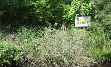 DELTA: LOTE EN RIO CARAPACHAY, A 100 MTRS. DE RIO LUJAN