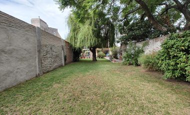 Casa - Wilde