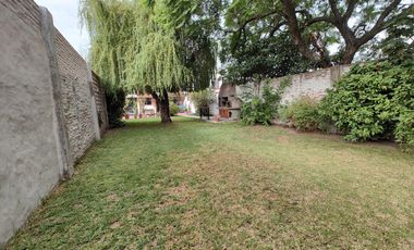 Casa - Wilde