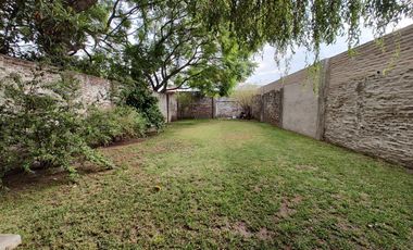 Casa - Wilde