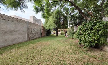 Casa - Wilde