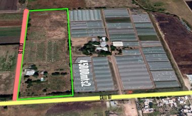 Casa en venta - 3 dormitorios 2 baños - 45.000mts2 - Melchor Romero, La Plata