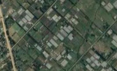 Campo en venta 150000 mts2- Florencio Varela