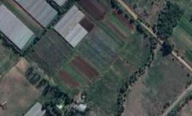 Campo en venta 150000 mts2- Florencio Varela