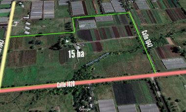 Campo en venta 150000 mts2- Florencio Varela