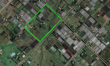 Campo en venta 150000 mts2- Florencio Varela