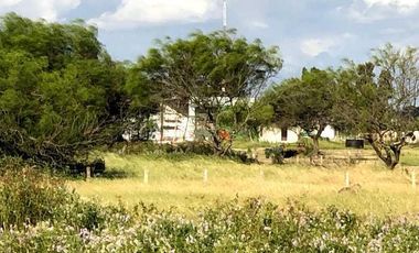 Terreno - Punta Lara