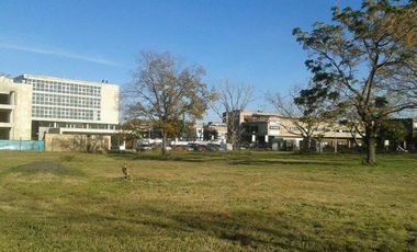VENTA URGENTE LOTE-FRACCION DE 9776 M2-PILAR IDEAL INVERSOR