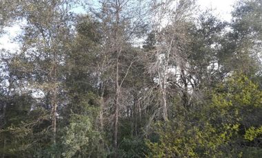 Campo en Formosa