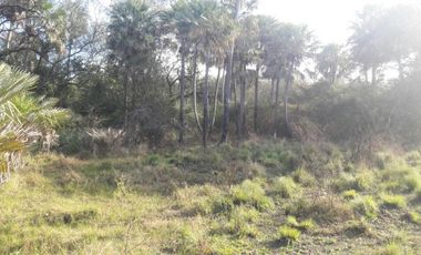 Campo en Formosa