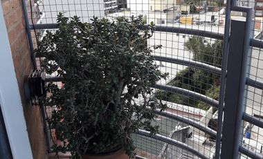 Venta Departamento 3 ambientes