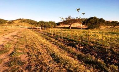 Venta Lotes - Daniel Donovan - San Luis