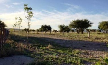 Venta Lotes - Daniel Donovan - San Luis