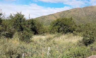 4  últimos  Lotes Altos de Valenti