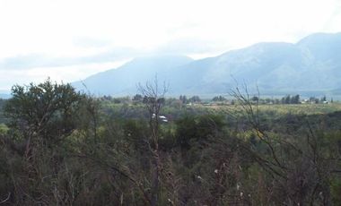 Fracción de 2 Hectáreas en San Esteban