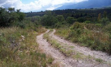 Fracción de 2 Hectáreas en San Esteban