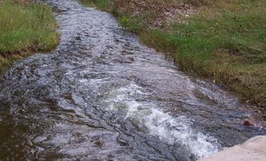 Fracción de 2 Hectáreas en San Esteban