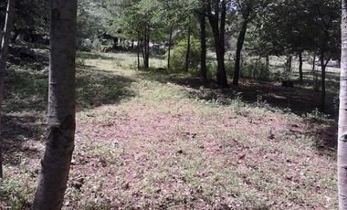 Venta Lote - Ruta 9 30500 - El Trapiche - San Luis