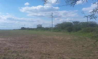 Campo en Santiago del Estero