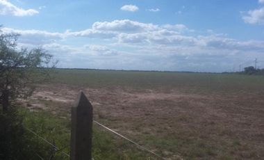 Campo en Santiago del Estero