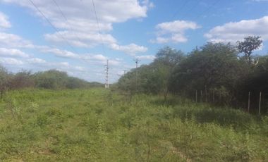 Campo en Santiago del Estero