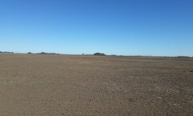 Excelente campo a la venta en Gral Arenales 46/ agrícola.