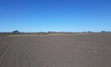 Excelente campo a la venta en Gral Arenales 46/ agrícola.