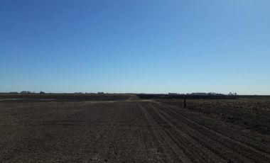 Excelente campo a la venta en Gral Arenales 46/ agrícola.