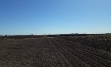 Excelente campo a la venta en Gral Arenales 46/ agrícola.