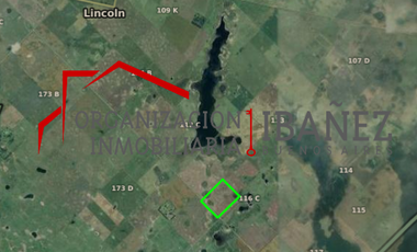 Campo de 30 / 49 ha, Bermudez, (LINCOLN).7 Km de la ruta.