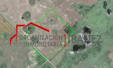 Campo de 30 / 49 ha, Bermudez, (LINCOLN).7 Km de la ruta.