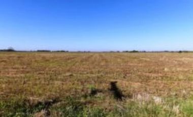 Campo de 30 / 49 ha, Bermudez, (LINCOLN).7 Km de la ruta.