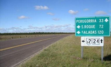 CAMPO FORESTAL EN PERUGORRIA CORRIENTES