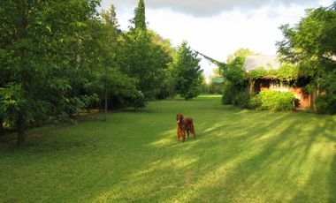 EXCELENTE CHALET EN LOS CARDALES