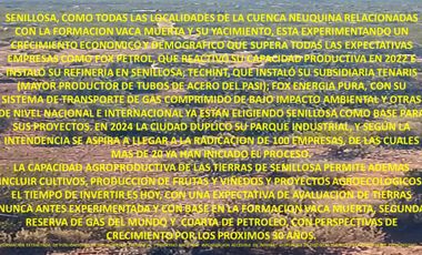 PUEBLO VACA MUERTA FINCAS DE UNA HECTAREA EN SENILLOSA